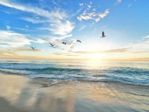 beach-1852945_1280